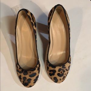 J Crew Leopard Pumps